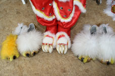 Chinese New Year Rotterdam 2016 Xia Quan Kung Fu Tai Chi 荷蘭俠家拳